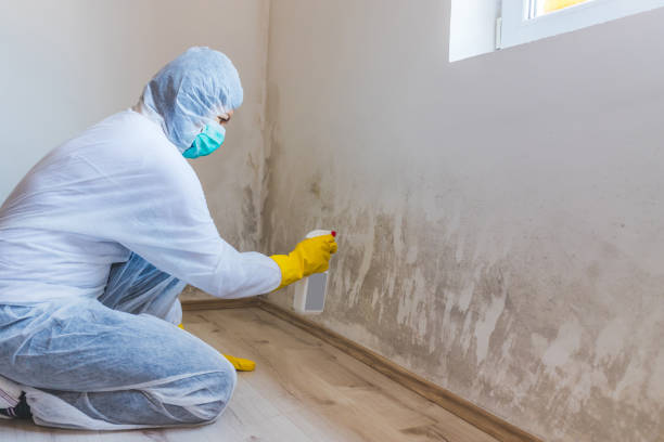 Mold Remediation specialist working in Cypress